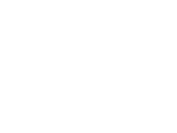 SAE