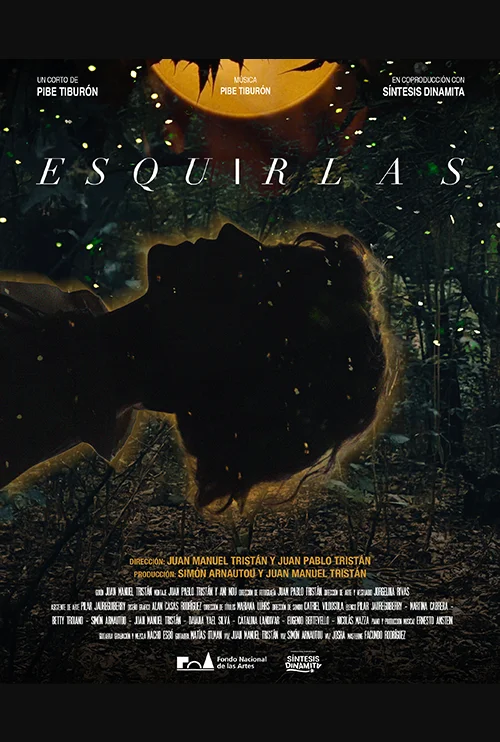 Esquirlas